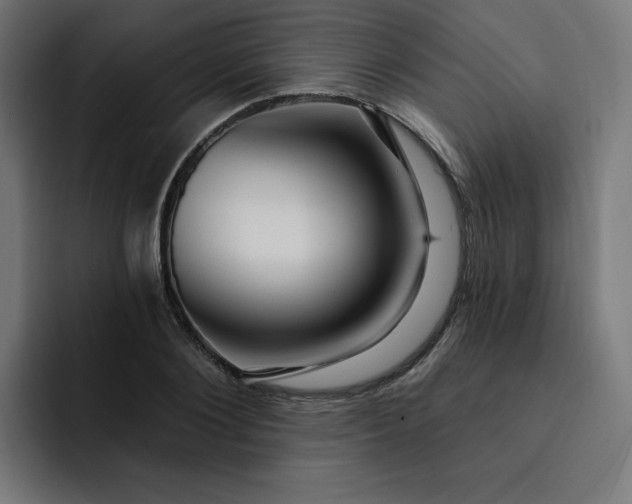 X0000093260884200710101457