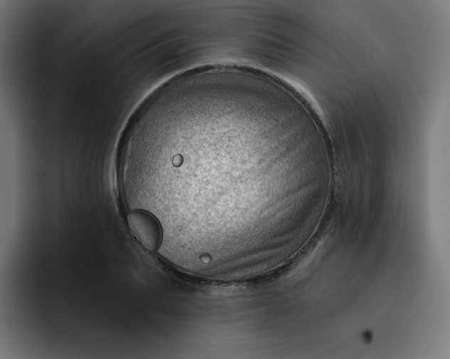 X0000093260887200710101457