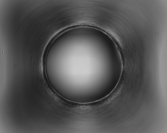 X0000093260888200710101457