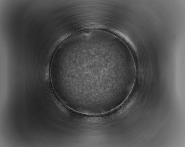 X0000093260889200710101457