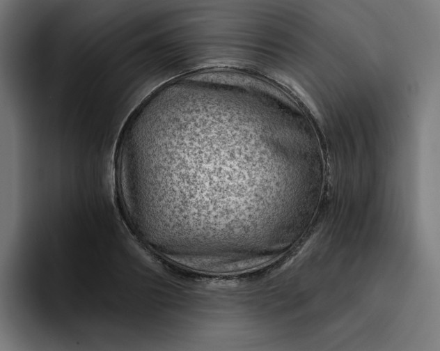 X0000093260890200710101457