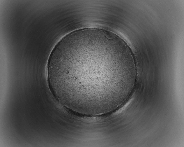 X0000093260891200710101457