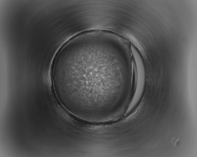 X0000093260892200710101457