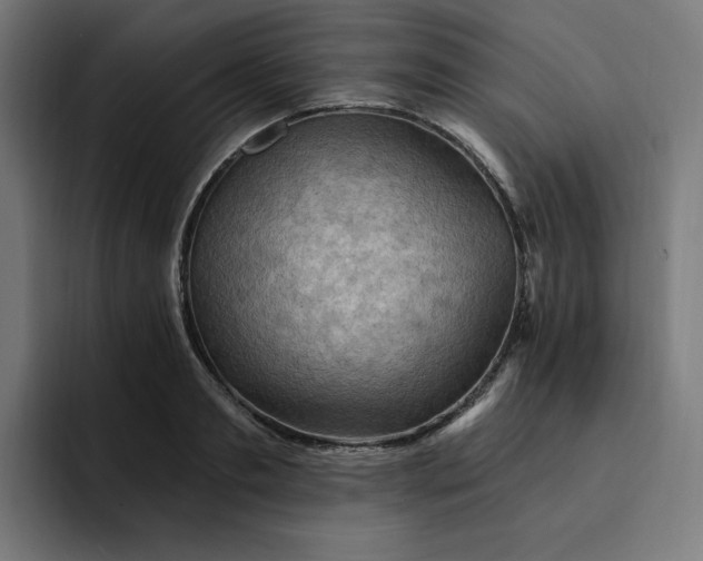 X0000093260893200710101457