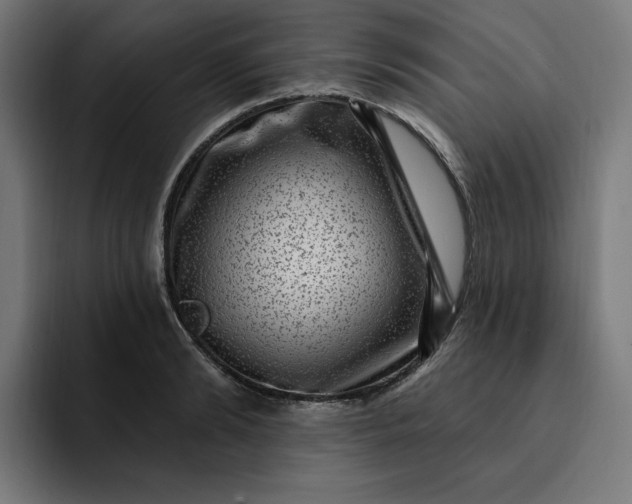 X0000093260894200710101457