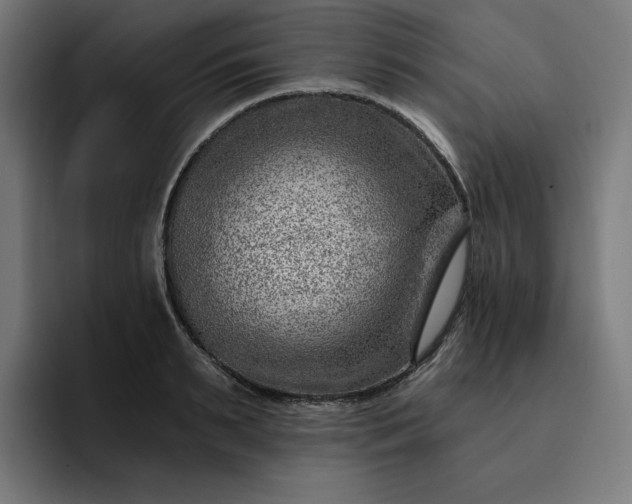 X0000093260895200710101457