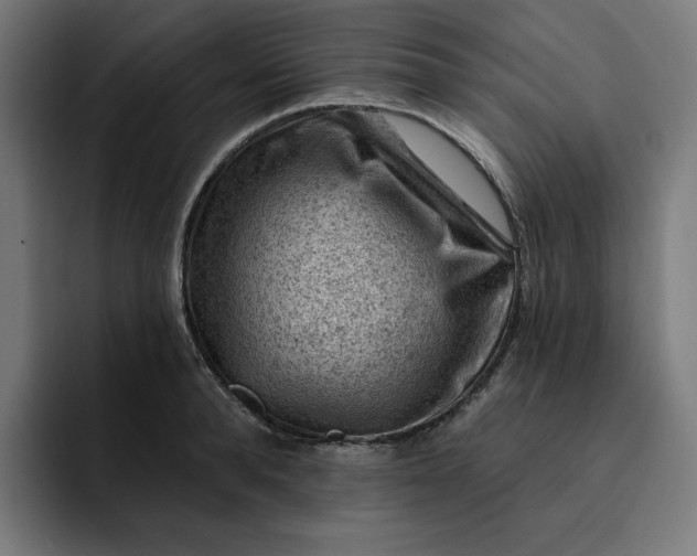 X0000093260896200710101457