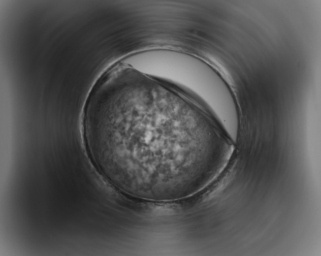 X0000093260899200710101457