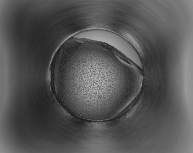 X0000093260900200710101457