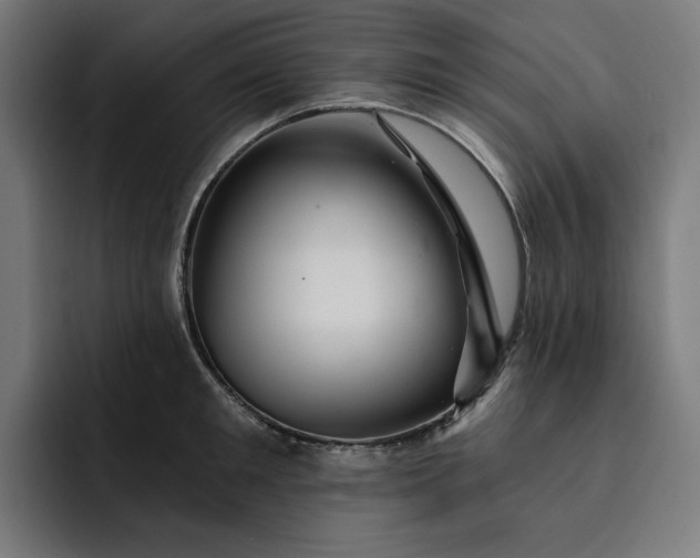 X0000093260901200710101457