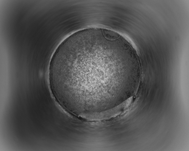 X0000093260903200710101457