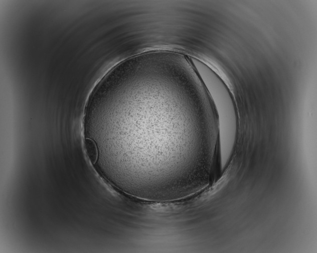 X0000093260906200710101457