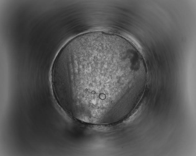 X0000093260907200710101456