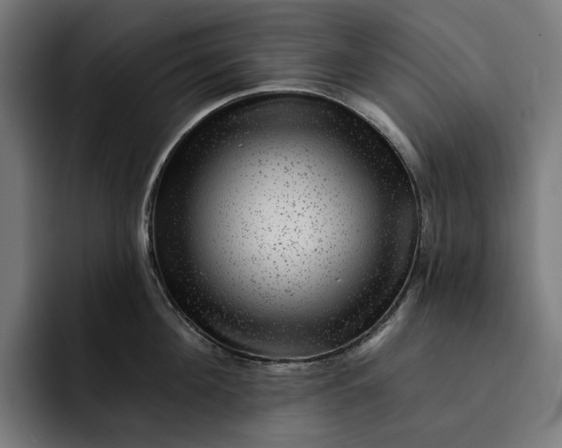 X0000093260908200710101456