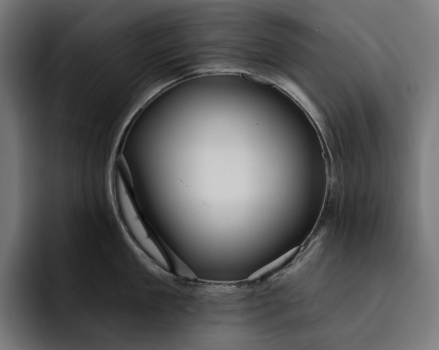 X0000093260909200710101456