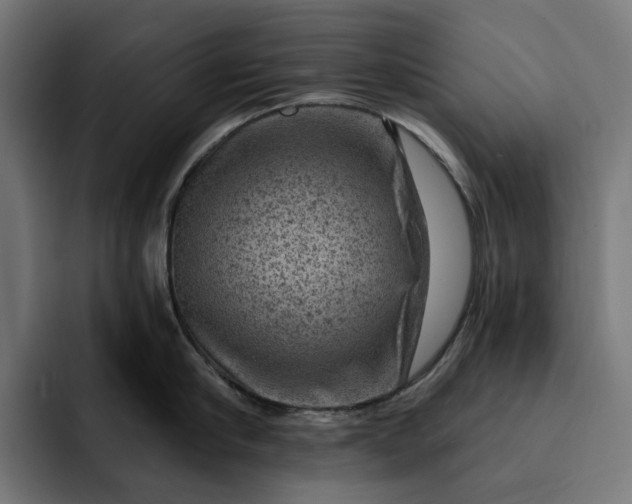 X0000093260910200710101456