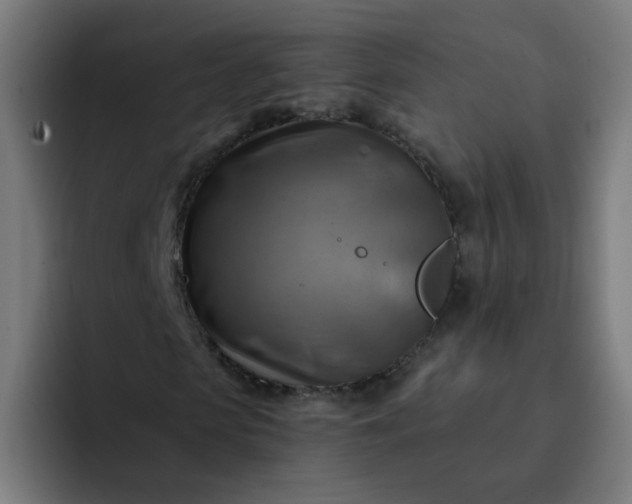 X0000093260913200710101456