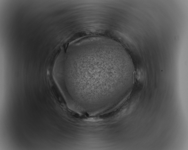 X0000093260915200710101456