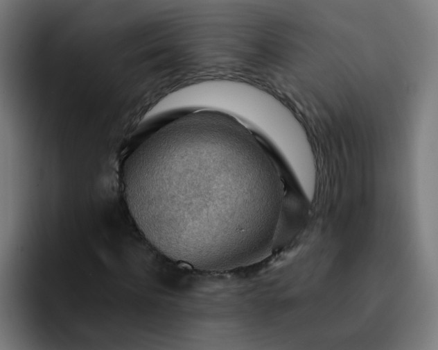 X0000093260916200710101456