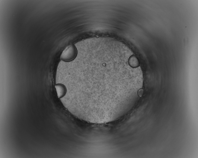 X0000093260918200710101456