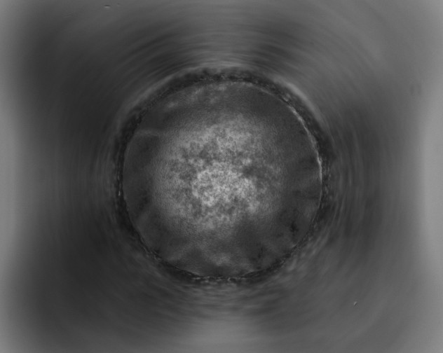 X0000093260919200710101456