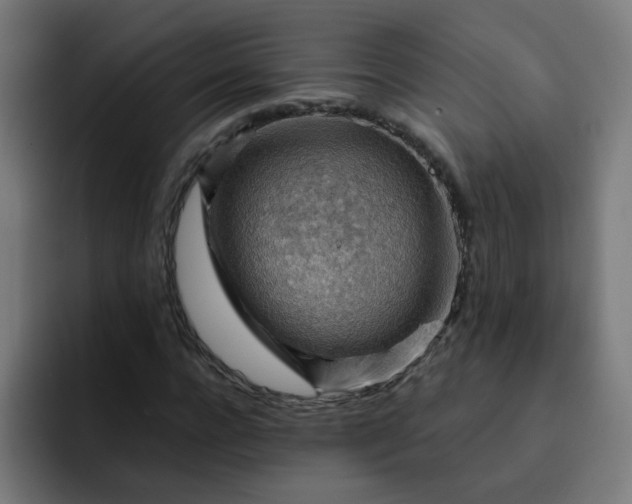 X0000093260920200710101456