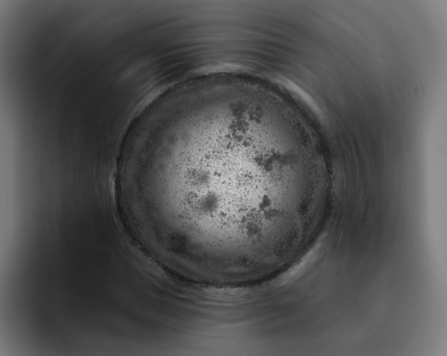 X0000093260921200710101456