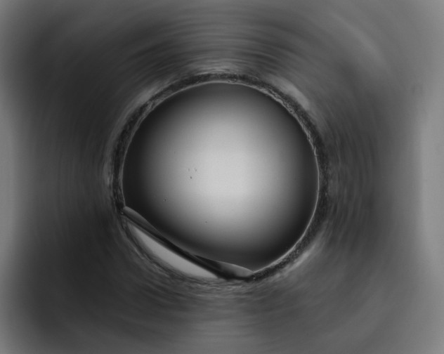 X0000093260922200710101456