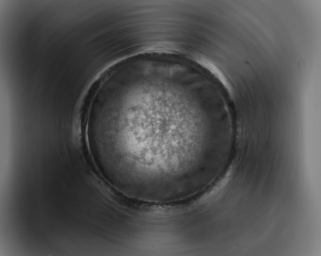 X0000093260923200710101456