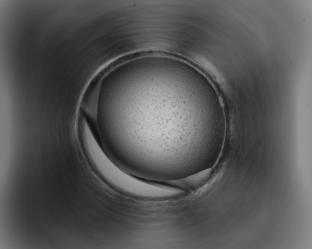 X0000093260924200710101456