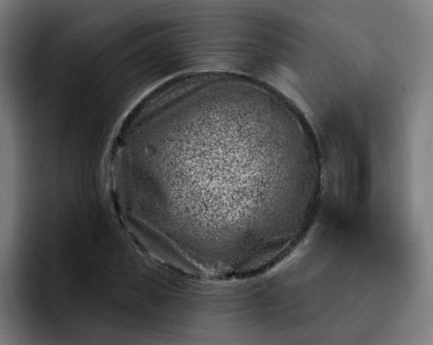 X0000093260925200710101456