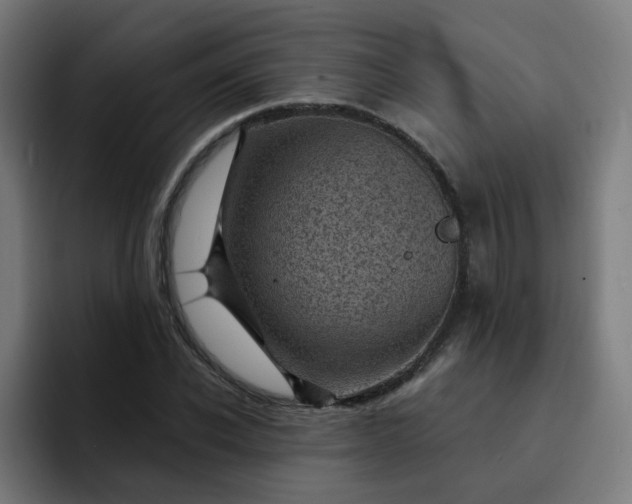 X0000093260926200710101456