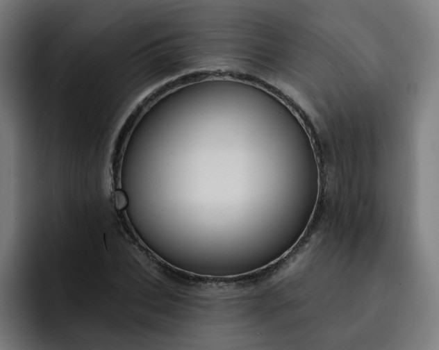 X0000093260927200710101456