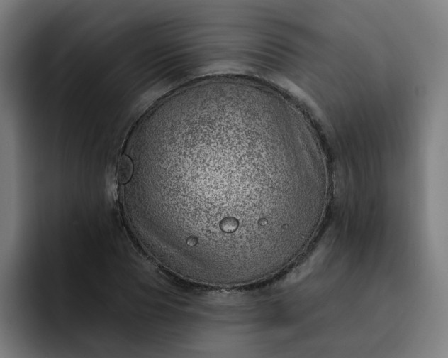 X0000093260929200710101456