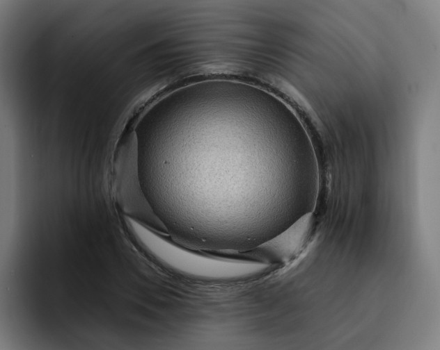 X0000093260930200710101456