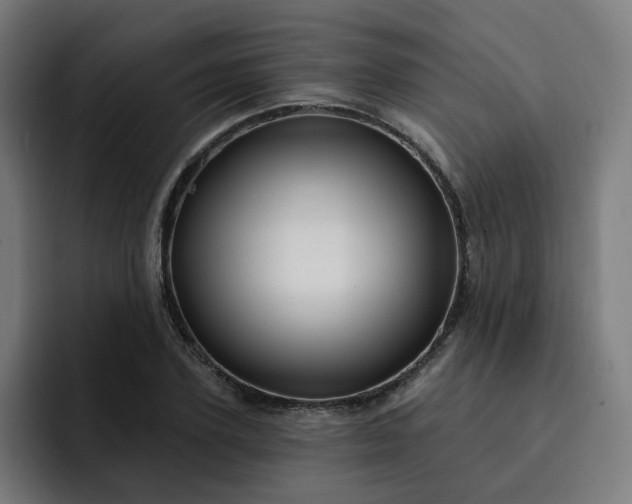 X0000093260931200710101456