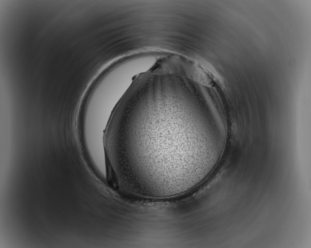 X0000093260934200710101456