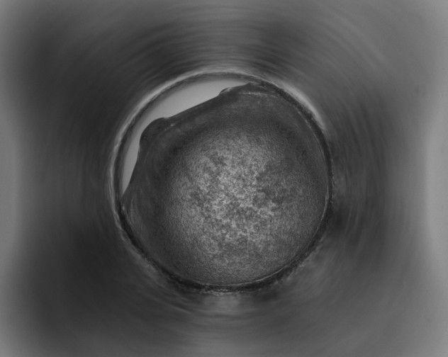 X0000093260935200710101456