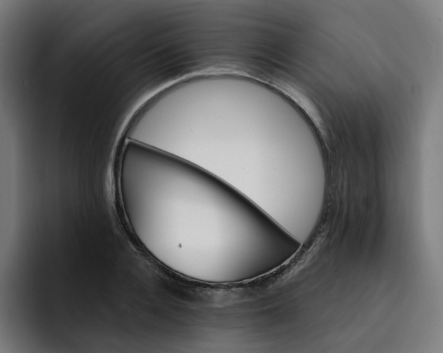 X0000093260936200710101456