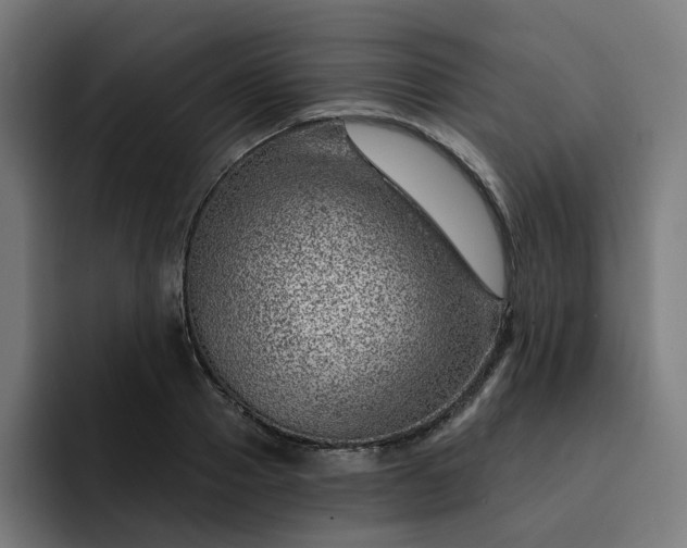 X0000093260937200710101456