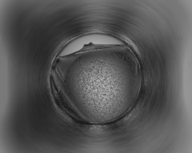 X0000093260938200710101456