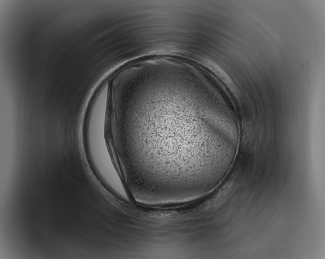 X0000093260939200710101456