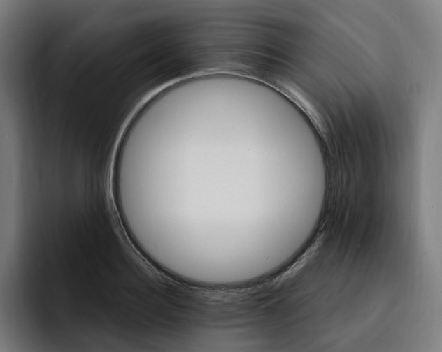 X0000093260940200710101456