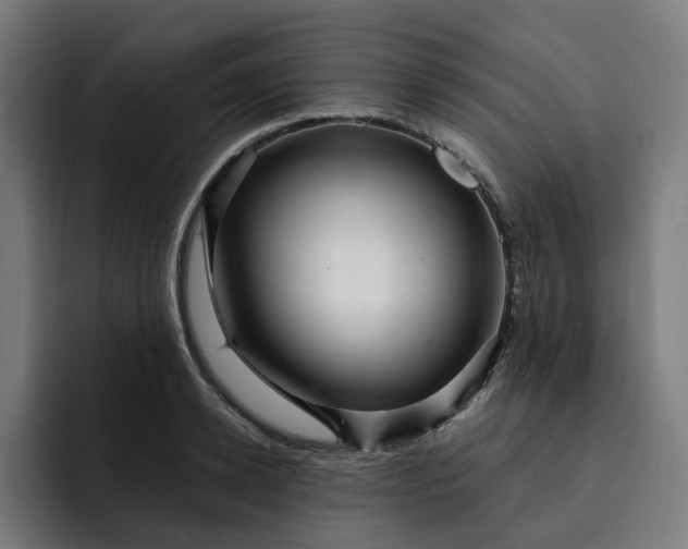 X0000093260942200710101456