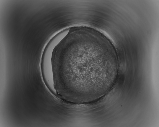 X0000093260943200710101456