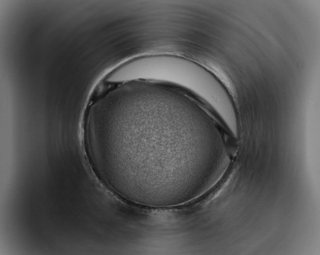 X0000093260944200710101456