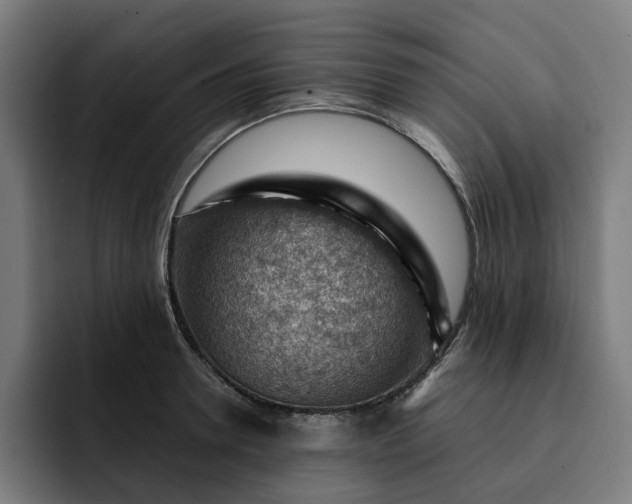 X0000093260946200710101456