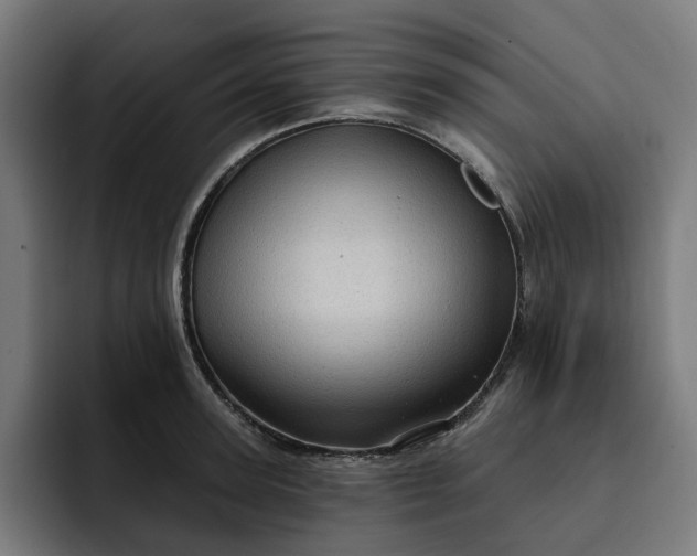 X0000093260947200710101456