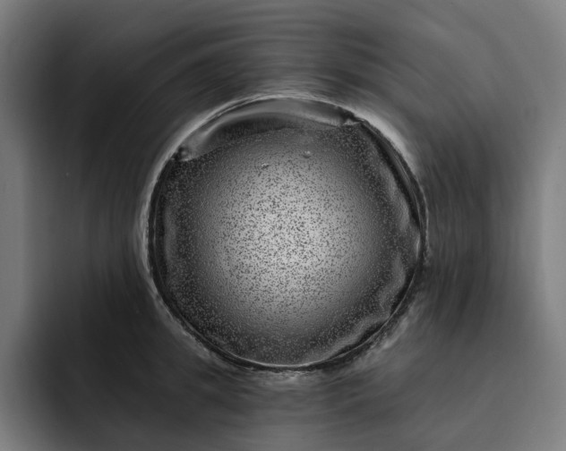 X0000093260949200710101456