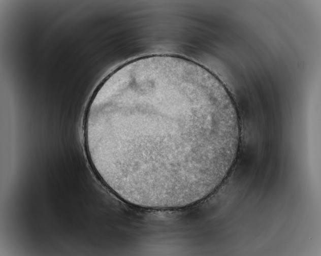 X0000093260950200710101456